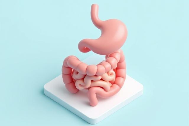Home Remedies for Digestive Health