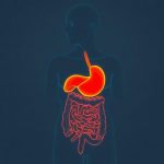 The Link Between Gut Health and Skin Glow