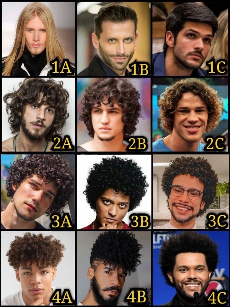 Understanding Men s Hair Types A Complete Guide Sciencequick